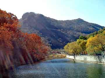 新澳门免费精准大全，孙守刚 背景